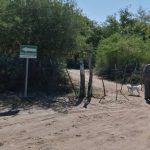 538624976_122197245848287828_2004762280311343503_n